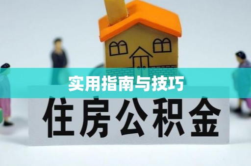 宾川实用指南与技巧