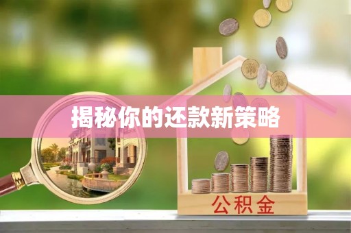 宾川揭秘你的还款新策略